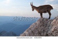 Thumbnail for version as of 07:02, 29 January 2013